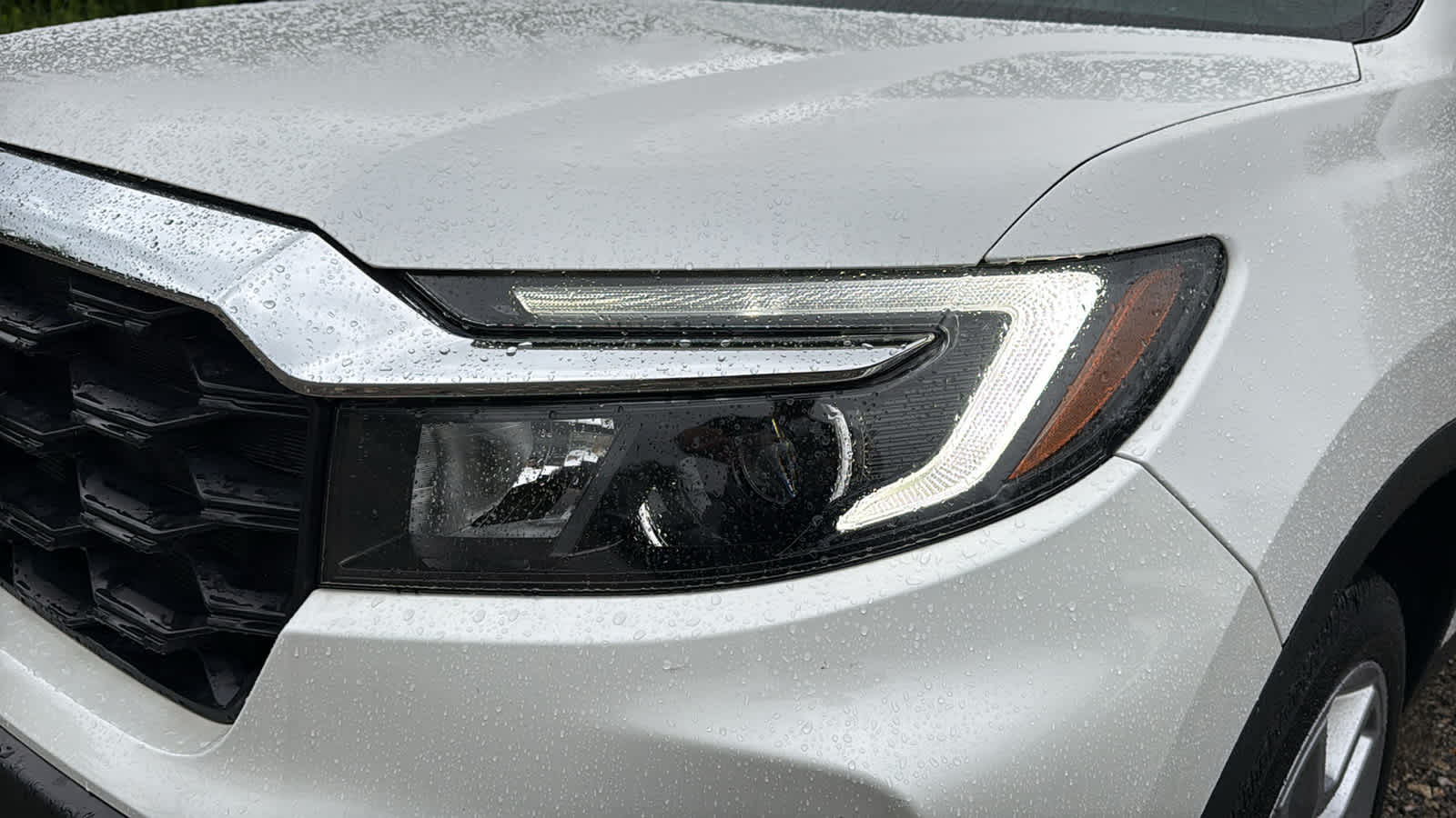2024 Honda Passport EX-L